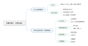 微精通 导图