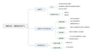 管理品牌资产导图