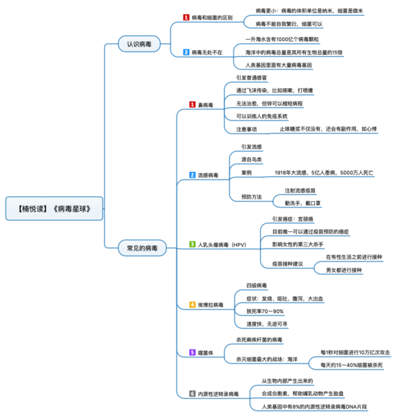 File:病毒星球 导图.png