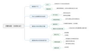 基因社会 导图