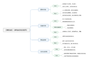 卓有成效的组织导图