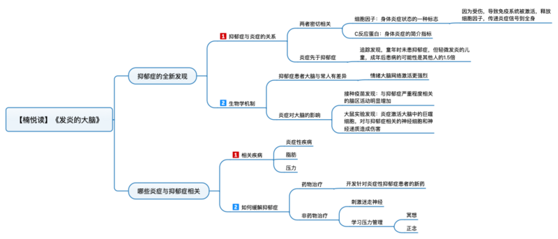 File:发炎的大脑 导图.png