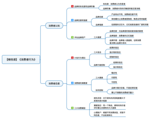 消费者行为 导图