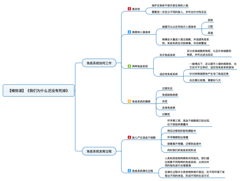 File:我们为什么还没有死掉 导图.png