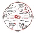 2022年4月25日 (一) 17:40版本的缩略图