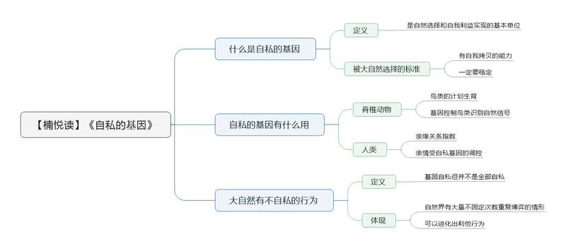 File:自私的基因 导图.png
