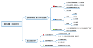 绝佳时间 导图