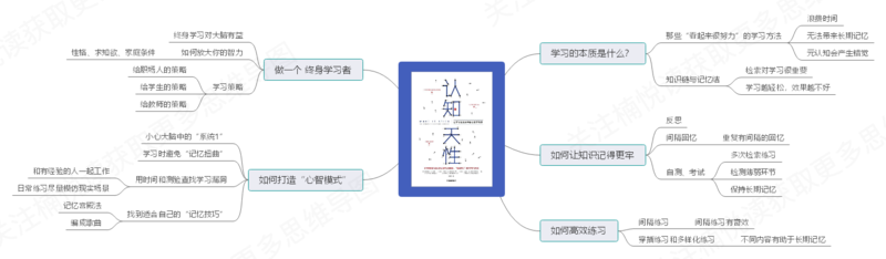 File:认知天性-读书笔记思维导图.png