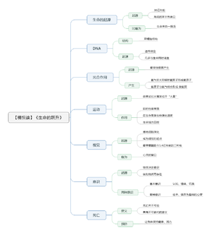 生命的跃升 导图