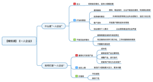 一人企业 导图