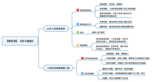 战斗细胞 导图