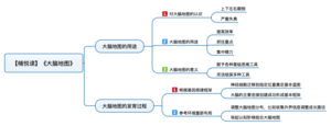 大脑地图 导图