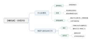 基因传 导图