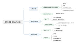 进化的大脑 导图