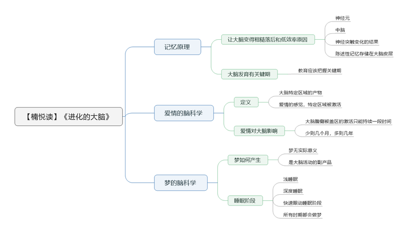 File:进化的大脑 导图.png