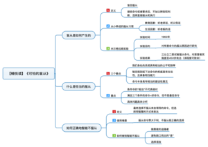 可怕的盲从 导图