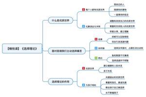 选择理论 导图