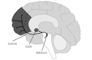 控制回路