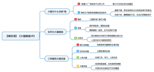 大脑赋能术 导图