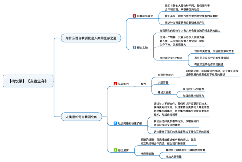 File:友者生存 导图.png