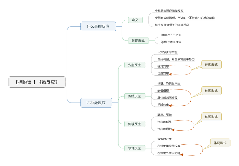 File:微反应 导图.png